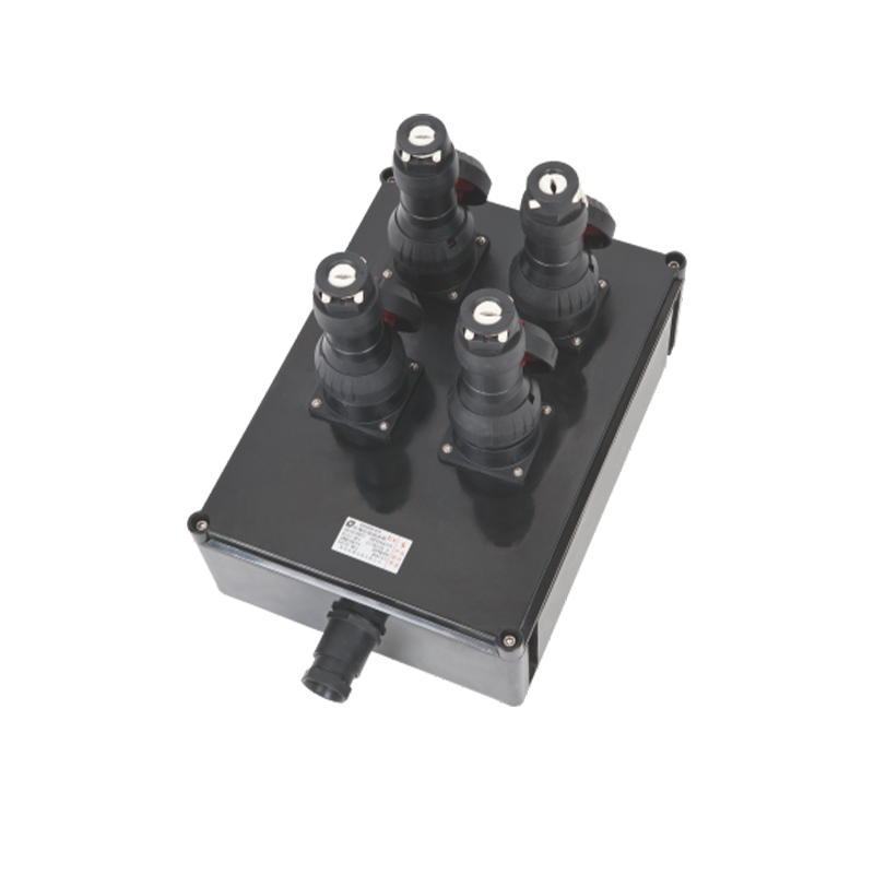 BXX8050 series explosion-proof and anti-corrosion maintenance power socket box