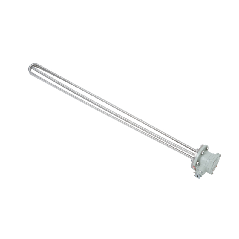 BDR Series Explosion-proof Electric Heater