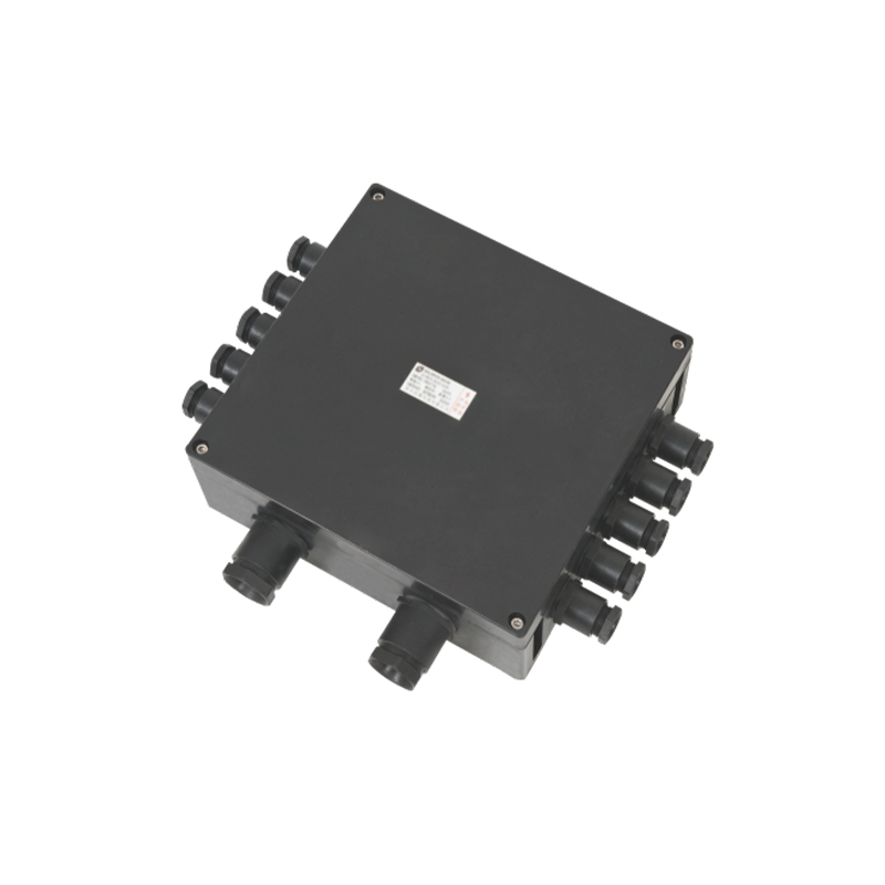 FXJ Series Waterproof, Dustproof and Anticorrosive Junction Boxes