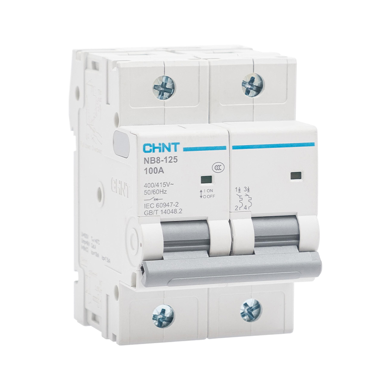 NB8-125-C100A-2P-Miniature Circuit Breaker